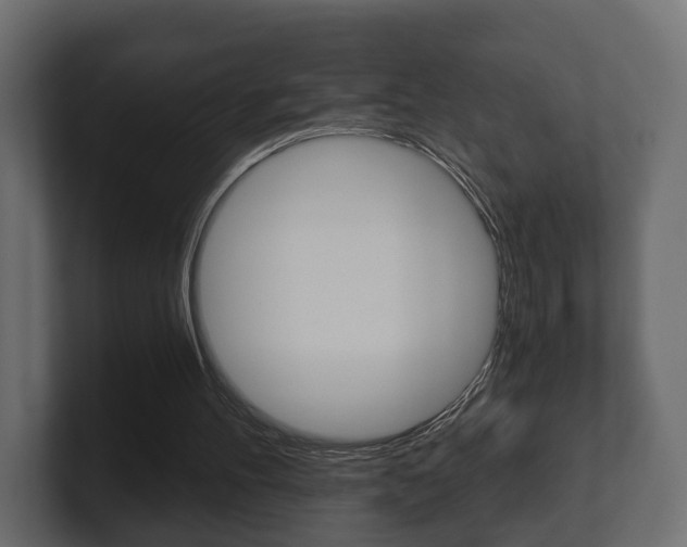 X0000101950100200807180711