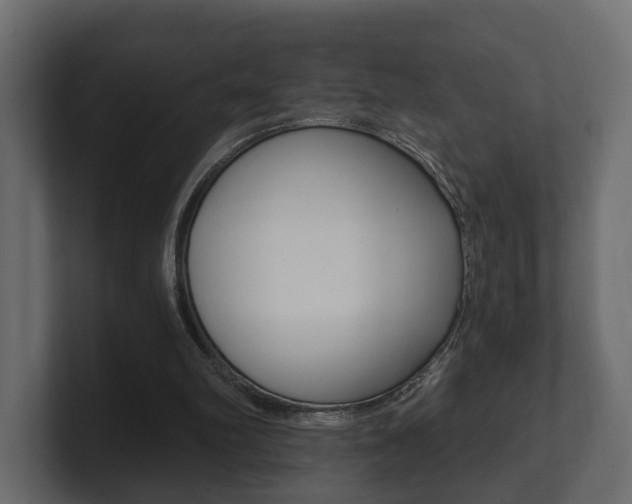 X0000101950102200807180711