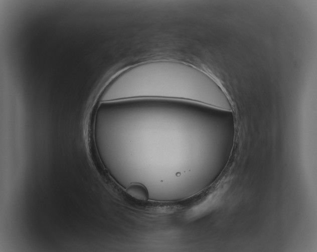 X0000101950103200807180711