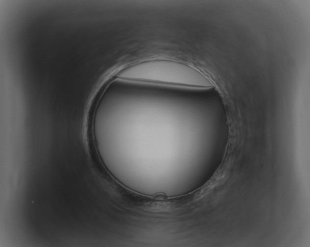 X0000101950104200807180711