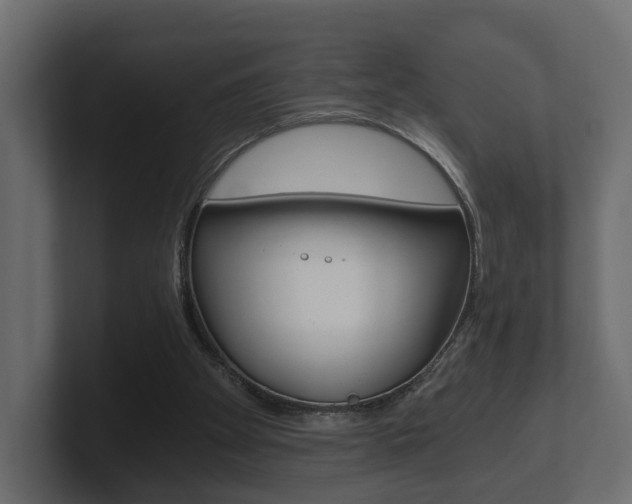 X0000101950105200807180711