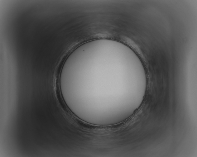 X0000101950106200807180711