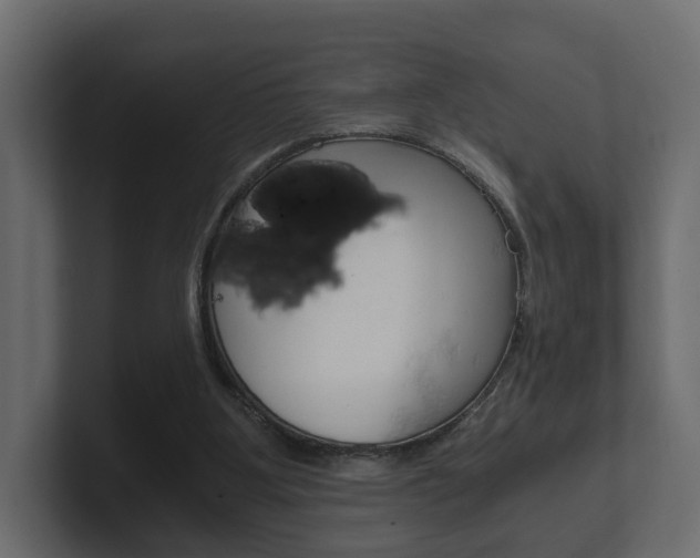 X0000101950107200807180711