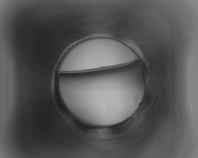 X0000101950108200807180711