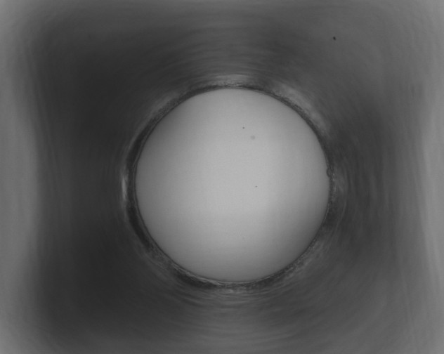 X0000101950110200807180711