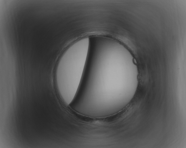 X0000101950111200807180711