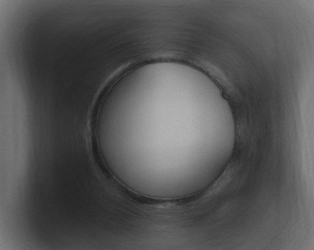 X0000101950112200807180711