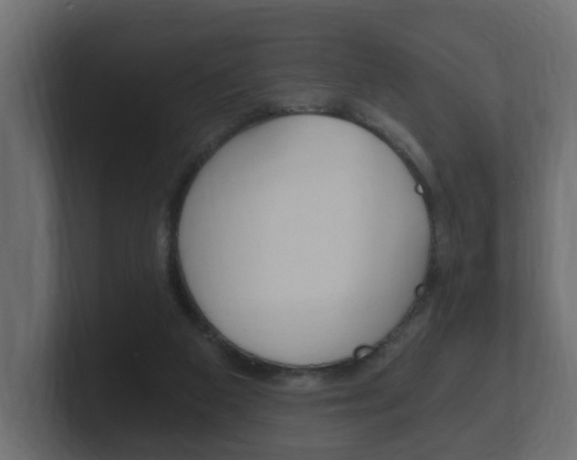 X0000101950113200807180711