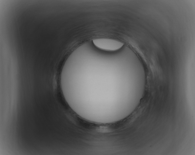 X0000101950114200807180710