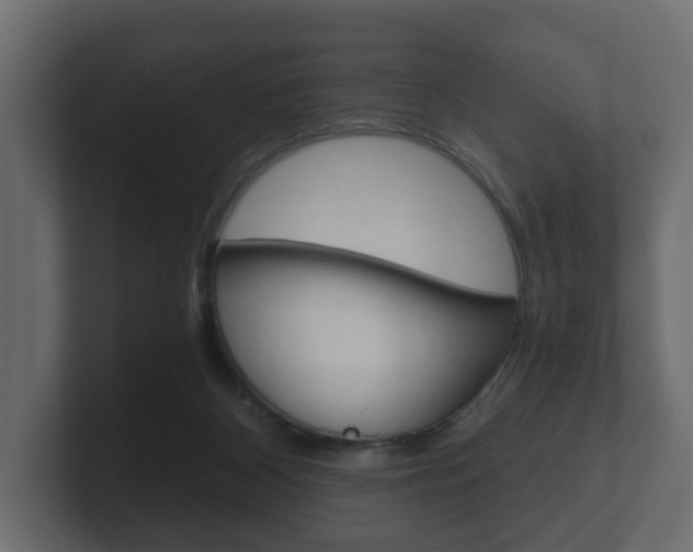 X0000101950116200807180710