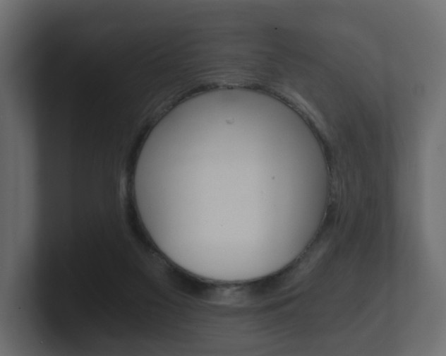 X0000101950117200807180710