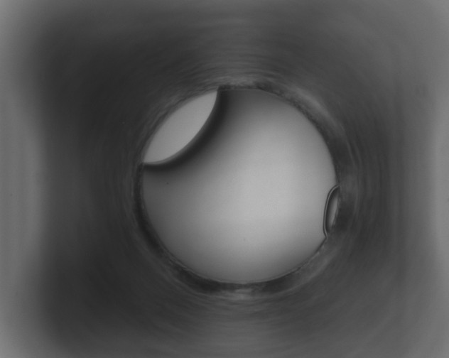 X0000101950120200807180710