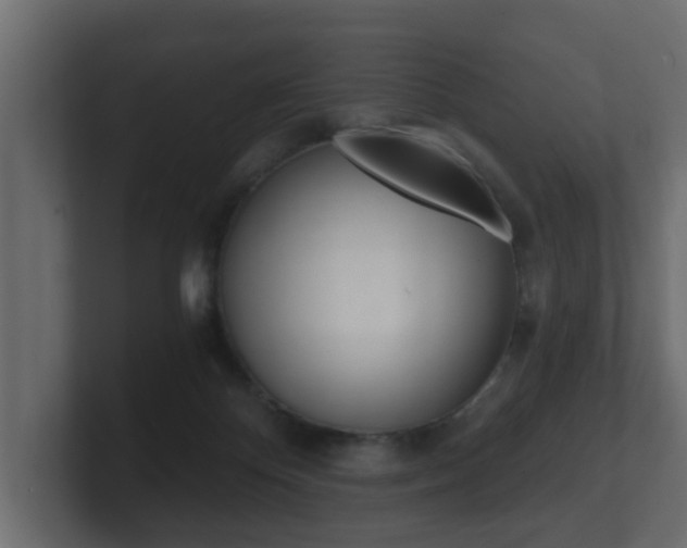 X0000101950124200807180710