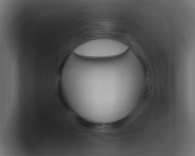 X0000101950125200807180710