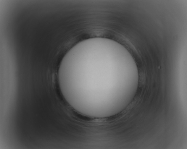 X0000101950126200807180710