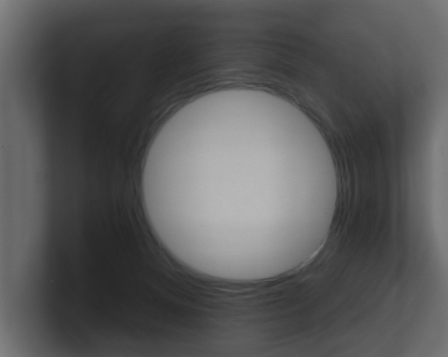 X0000101950128200807180710