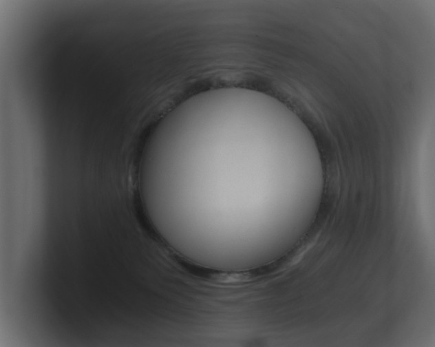 X0000101950135200807180710