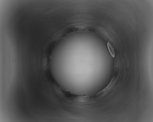 X0000101950136200807180710