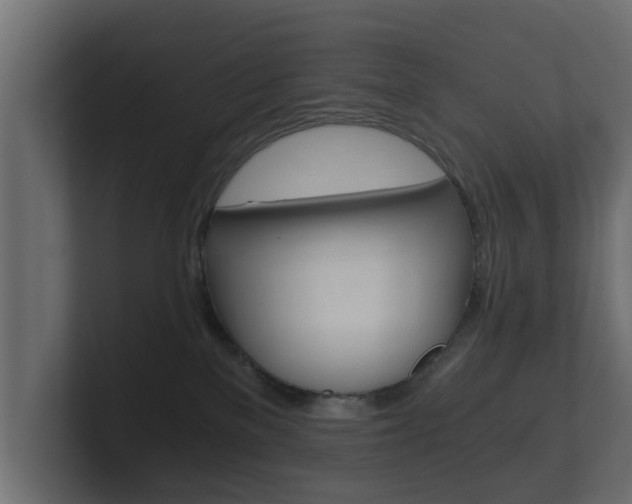 X0000101950137200807180710