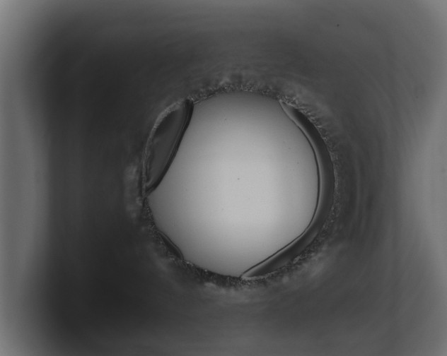 X0000101950144200807180710