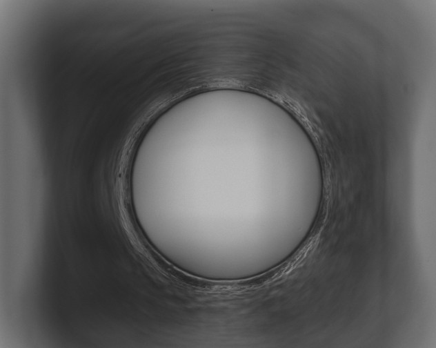 X0000101950145200807180709