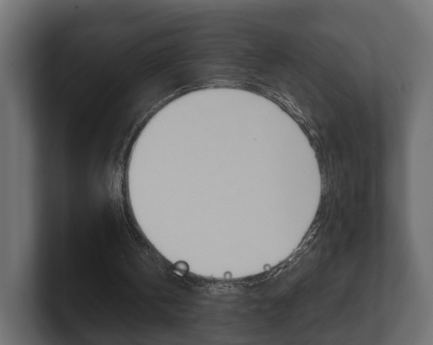 X0000101950146200807180709