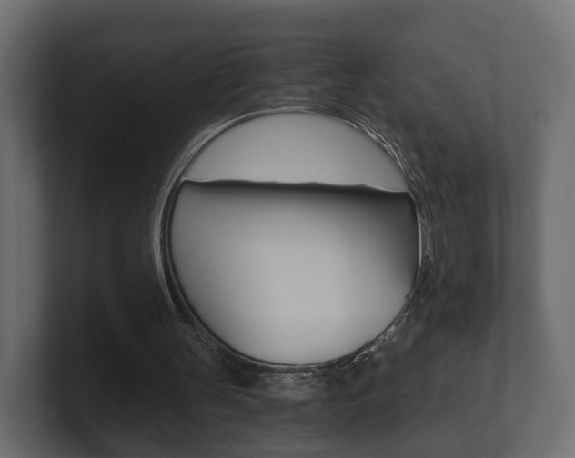 X0000101950147200807180709