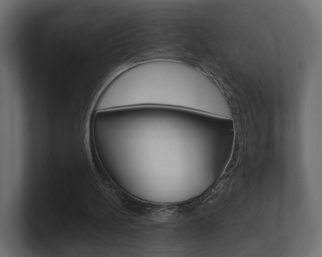 X0000101950148200807180709