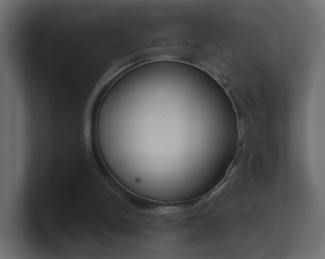 X0000101950150200807180710