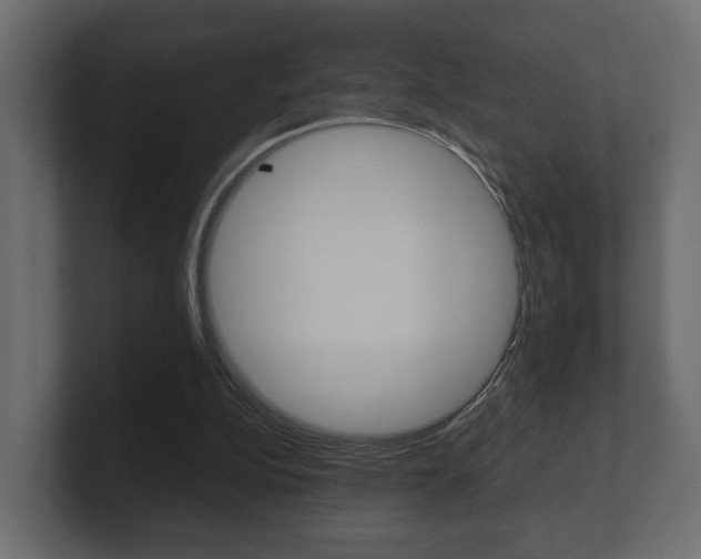 X0000101950152200807180710