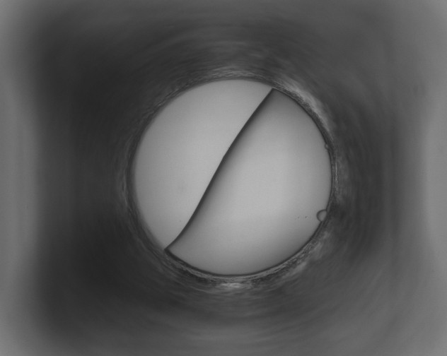 X0000101950153200807180710