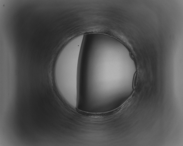 X0000101950154200807180710