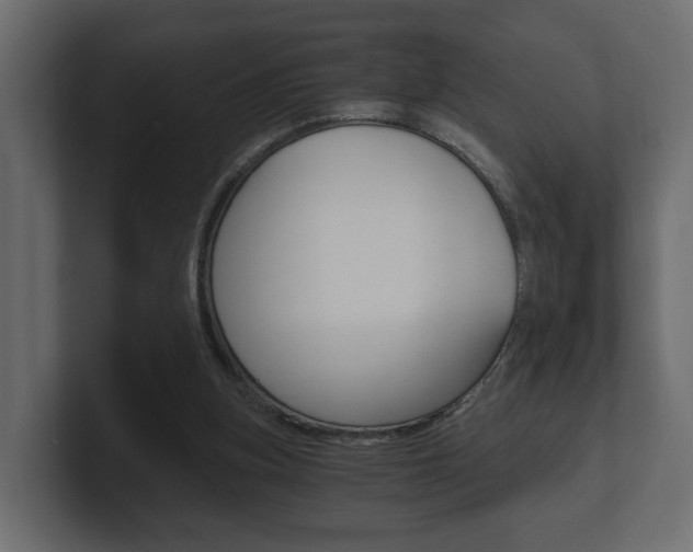 X0000101950155200807180710