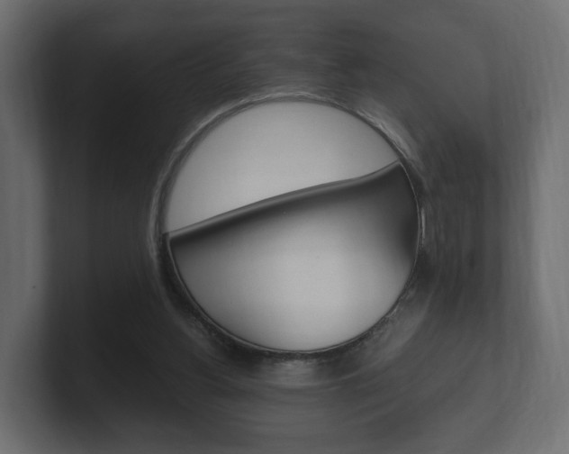 X0000101950156200807180710