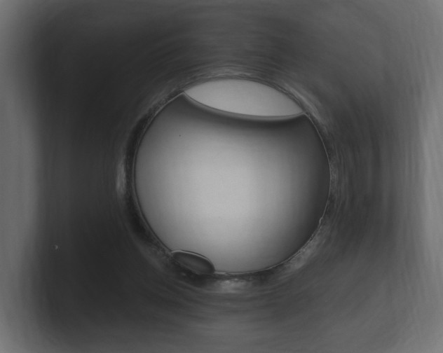 X0000101950158200807180710