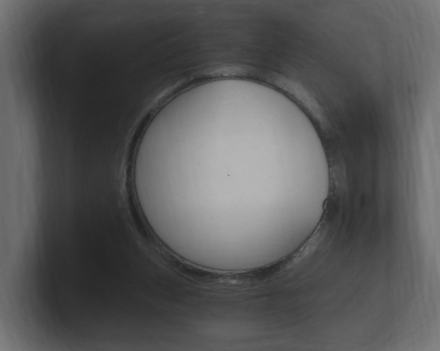 X0000101950159200807180710