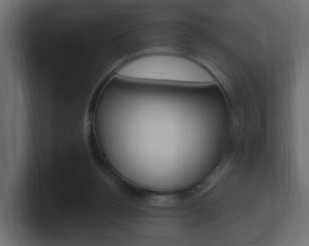 X0000101950160200807180710