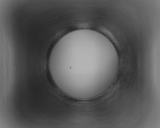 X0000101950161200807180710