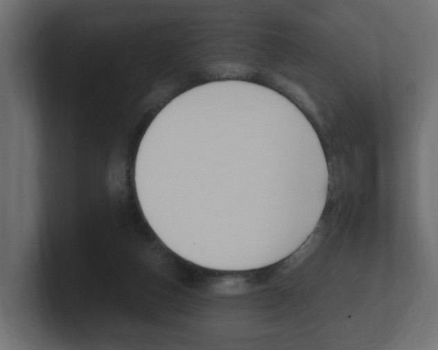 X0000101950162200807180710