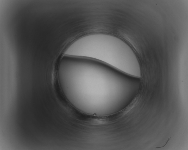 X0000101950164200807180710