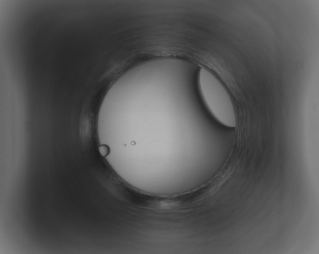 X0000101950165200807180710