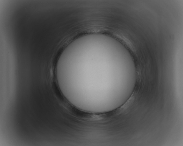 X0000101950166200807180710