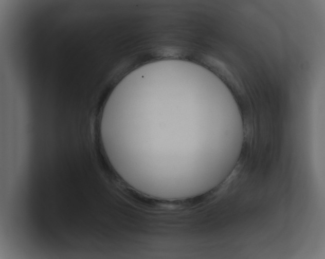 X0000101950167200807180710