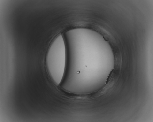 X0000101950168200807180710