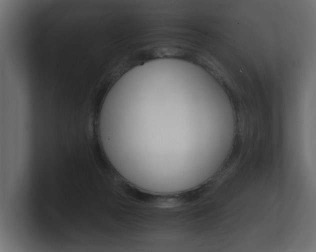 X0000101950169200807180710