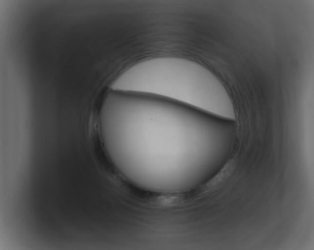 X0000101950172200807180710