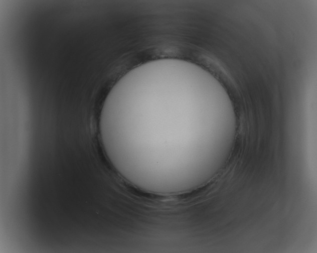 X0000101950173200807180710