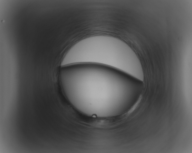 X0000101950174200807180710