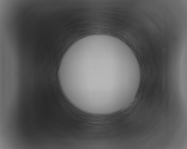 X0000101950176200807180710