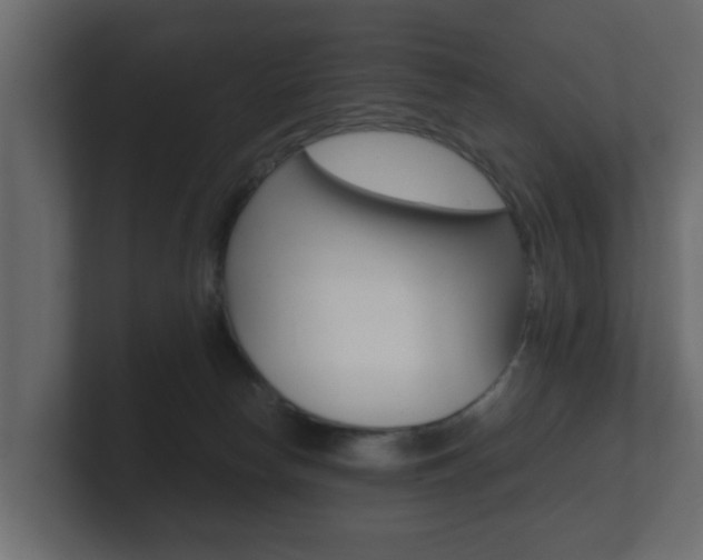 X0000101950178200807180710